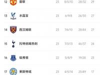 乐鱼真人体育娱乐-热刺反弹取胜，展现实力不容小觑的简单介绍