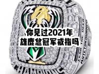 乐鱼体育全站-雄鹿夺得胜利，打破连胜纪录