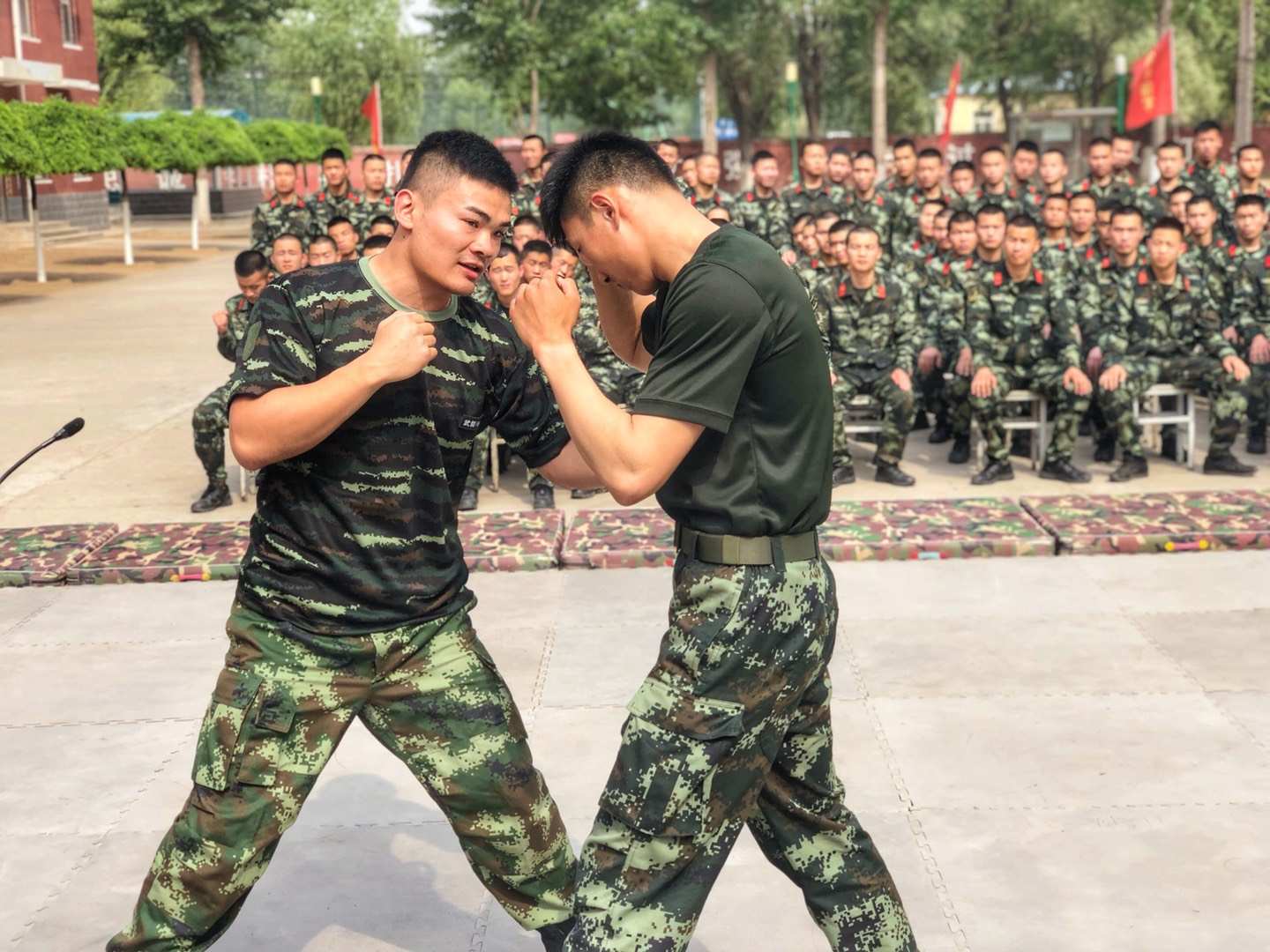 关于阿尔希拉尔教练组强化体能训练，备战关键战的信息