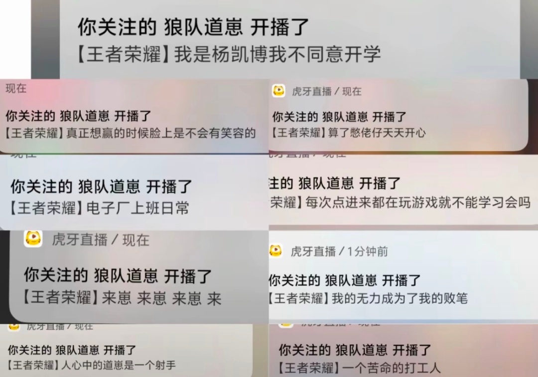 KPL登场两周年，狼队道崽发文：谢谢大家的祝福的简单介绍